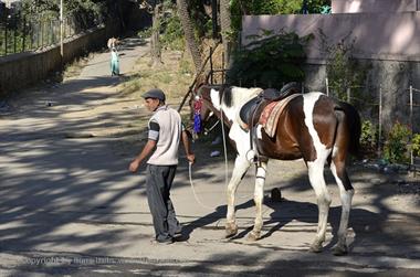 05 Mount_Abu_DSC4152_b_H600